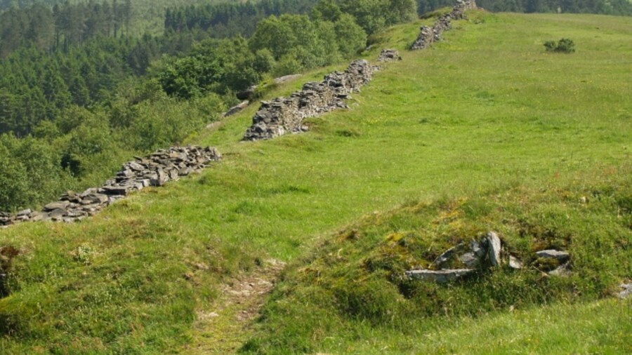 Photo "Old wall, Craig-y-perchyll Looking towards the Lletty-Rhys plantation." by Chris Eilbeck (Creative Commons Attribution-Share Alike 2.0) / Cropped from original