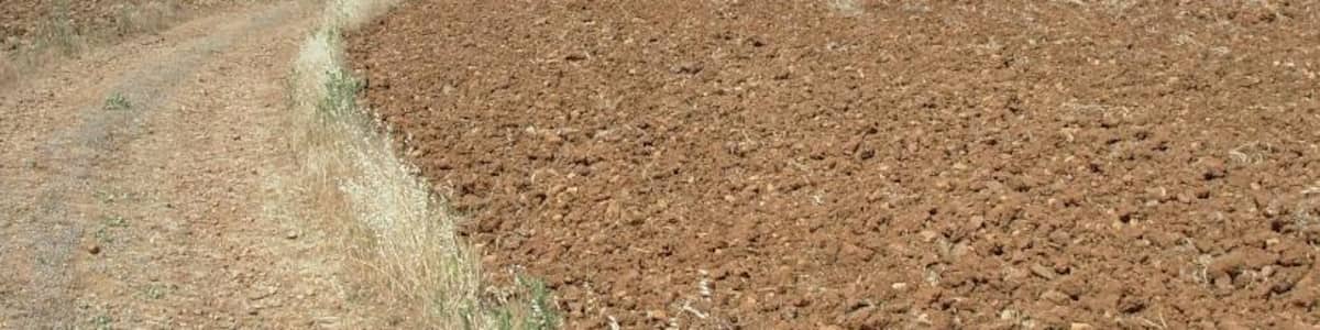 Photo "Cultivos" by Allpe (Creative Commons Attribution 3.0) / Cropped from original