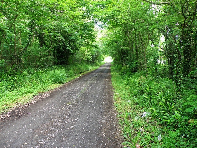 Track to Bont Farm This track leads up to Bont Farm from the B4308.