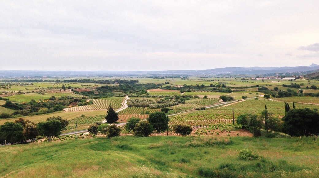 Photo "Arboras" by Alexander Baranov (CC BY) / Cropped from original