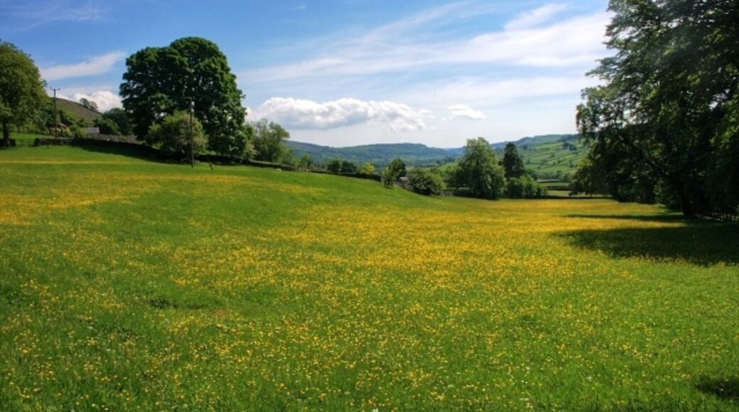 "Reeth"-foto av Mick Garratt (CC BY-SA) / Urklipp från original