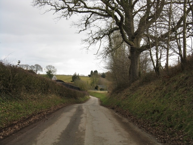 Lane To Hayes Farm