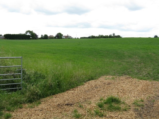 Foto “Salwarpe” tomada por Whatlep (CC BY-SA); recorte de la original