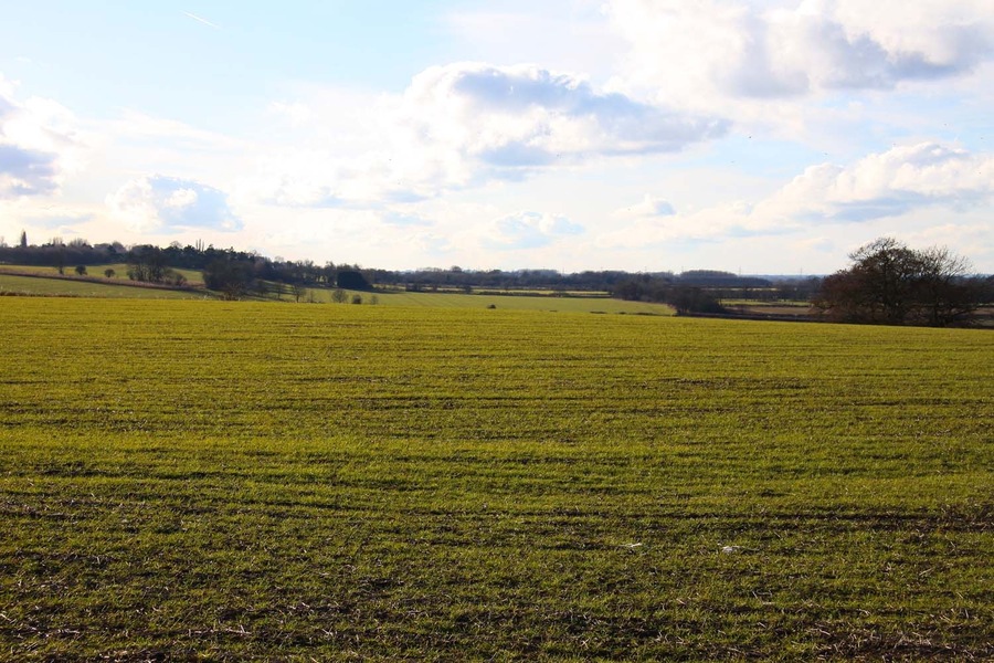 Arable field near Kingston Hill Farm