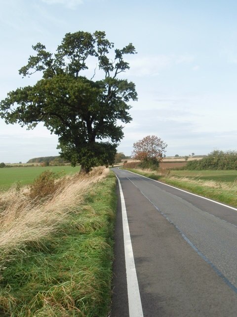 Foto “Buckworth” tomada por Michael Trolove (CC BY-SA); recorte de la original