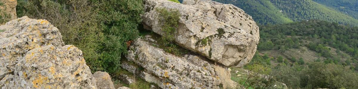 Photo "L'Albiol, 43479, Tarragona, Spain" by Андрей Бобровский (Creative Commons Attribution 3.0) / Cropped from original