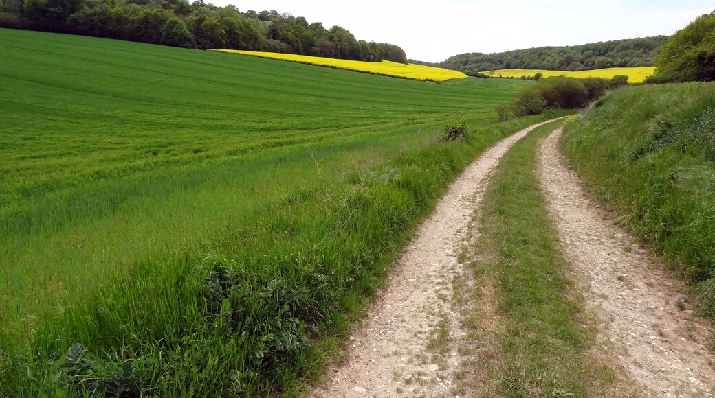 Photo "Boncourt" by X-Javier (CC BY-SA) / Cropped from original
