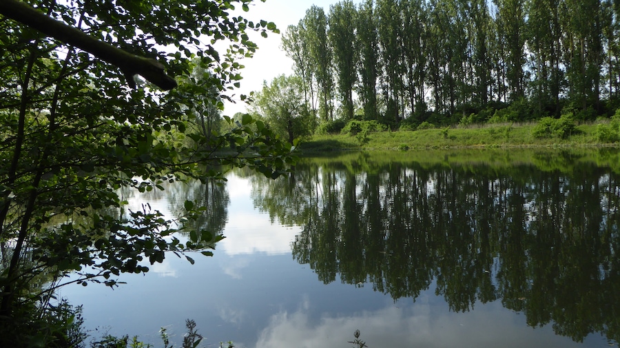 Site naturel du Marais des crêtes d' Athies Pas-de-Calais .- Nord-Pas-de-Calais-Picardie