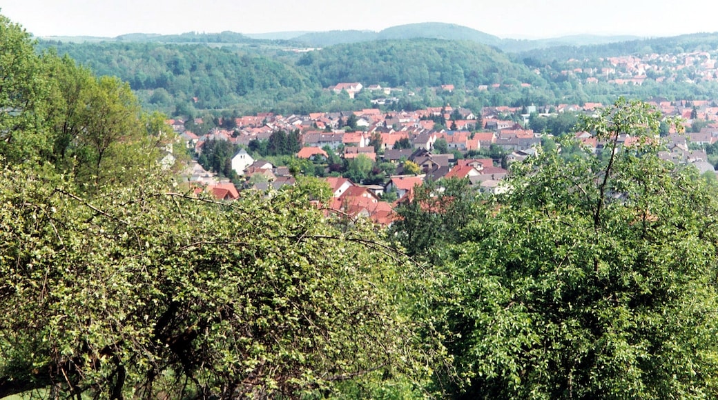 Foto „Rehlingen-Siersburg“ von Dguendel (page does not exist) (CC BY)/zugeschnittenes Original