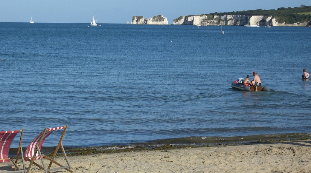 Photo "Studland South Beach" by PJMarriott (CC BY) / Cropped from original