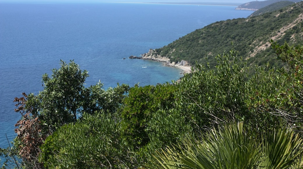 Photo "Natural Park of Maremma" by Ralf Schmidt (CC BY-SA) / Cropped from original