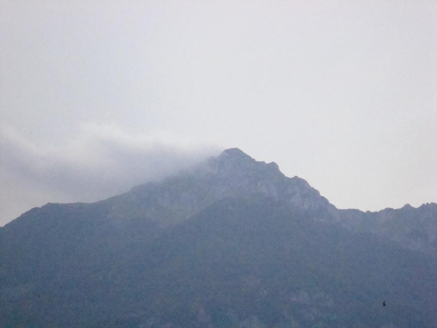 Pizzo deta