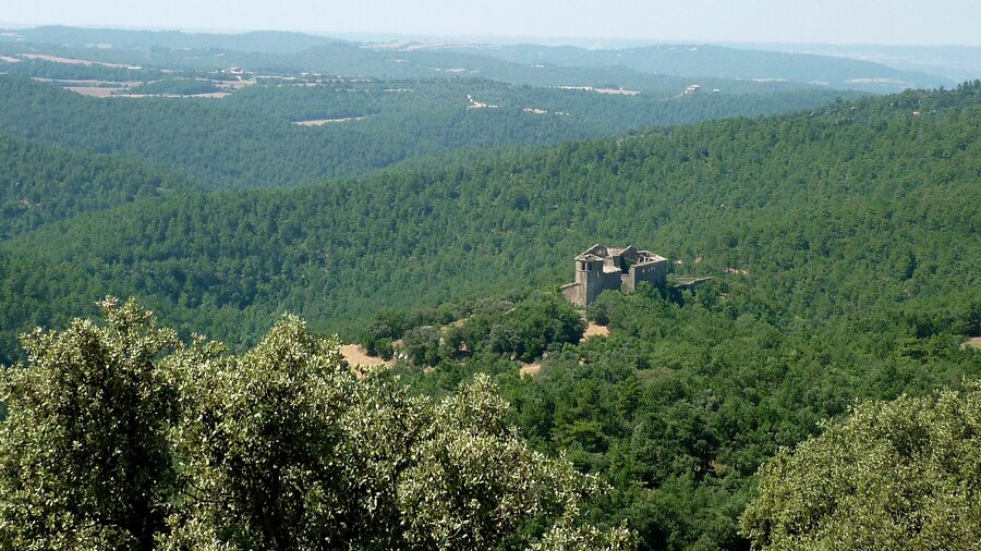 Photo "Castell de Llanera (Torà): des de la masia de Santa Maria" by Isidre blanc (Creative Commons Attribution-Share Alike 3.0) / Cropped from original