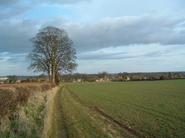 Foto “Pequeño Ribston” tomada por Paul Allison (CC BY-SA); recorte de la original