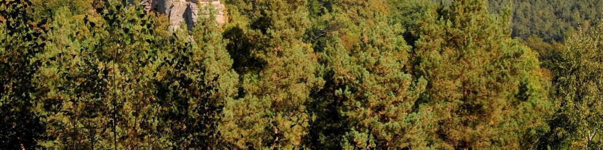 Photo "Erlenbach-Sicht auf Burg Berwartstein" by Franzfoto (Creative Commons Attribution-Share Alike 3.0) / Cropped from original