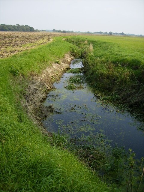 Photo "Middleton" by Phil Catterall (CC BY-SA) / Cropped from original