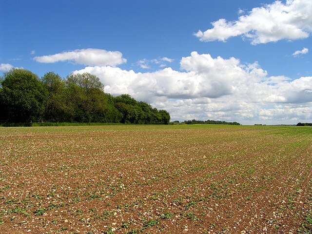 Ảnh "Boxford" của Pam Brophy (CC BY-SA) / Cắt từ ảnh gốc