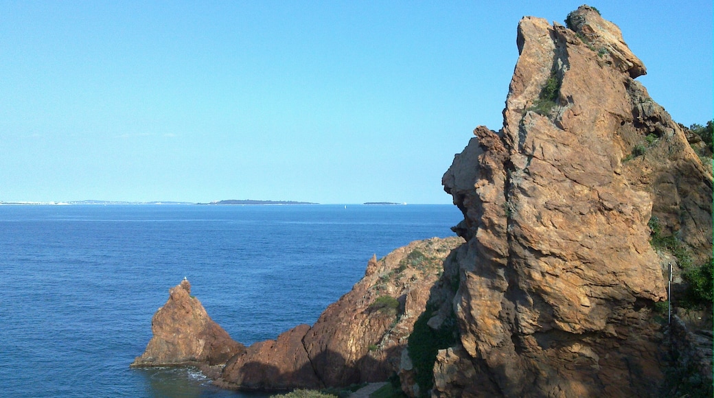 Photo "Pointe de l'Aiguille Park" by Иерей Максим Массалитин (CC BY-SA) / Cropped from original