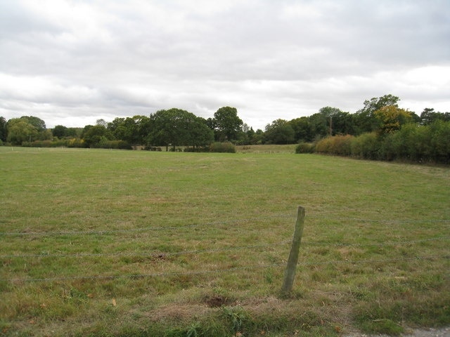 Well managed grazing land Well I thought so! Not over grazed, decent mixed hedge and fencing all intact.