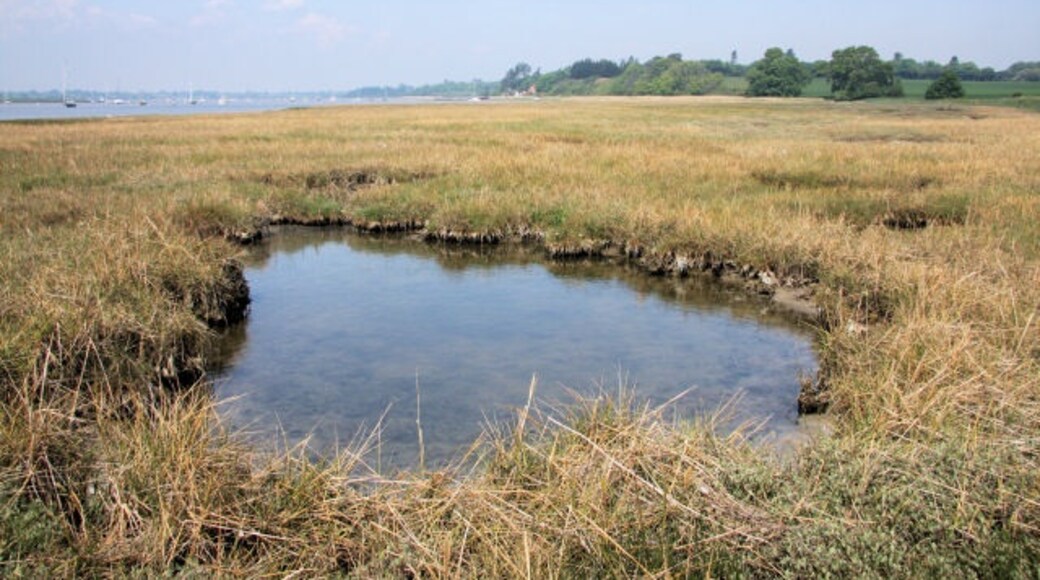 Foto „Ramsholt“ von Bob Jones (CC BY-SA)/zugeschnittenes Original