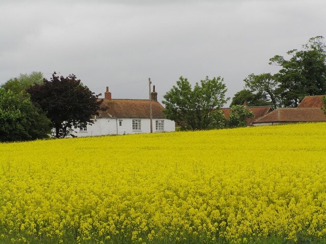 Photo "Barugh" by colin grice (CC BY-SA) / Cropped from original