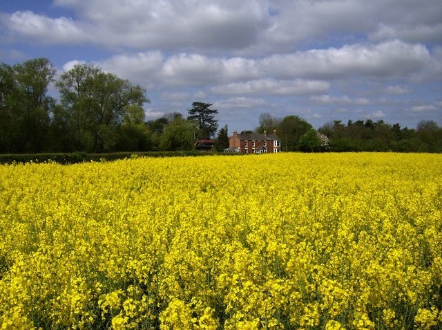 "Weedon Bec"-foto av Graham Horn (CC BY-SA) / Urklipp från original