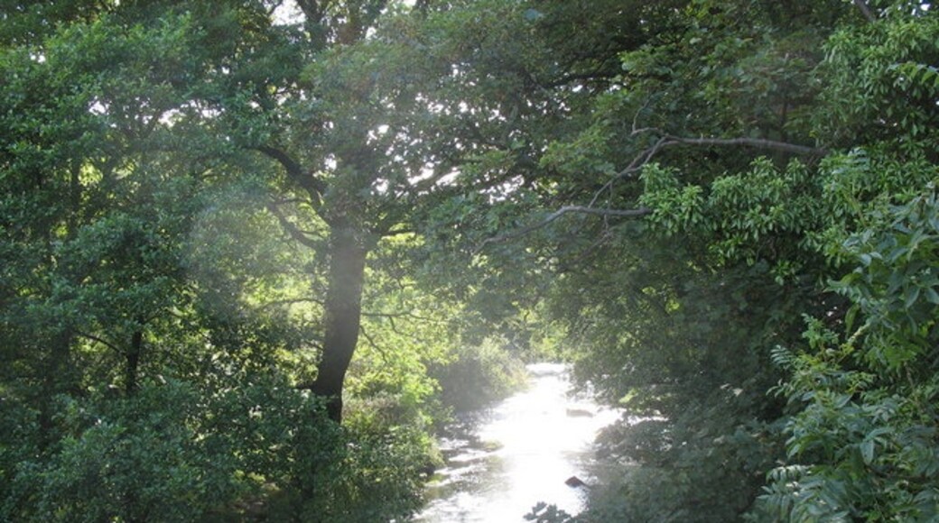 Foto „Waenfawr“ von Eric Jones (CC BY-SA)/zugeschnittenes Original