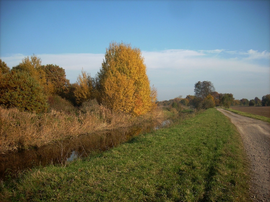 Luppe river between Wegwitz and Zöschen
