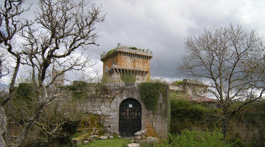 Foto "Castillo de Pambre" de José Antonio Gil Martínez (CC BY) / Recortada do original