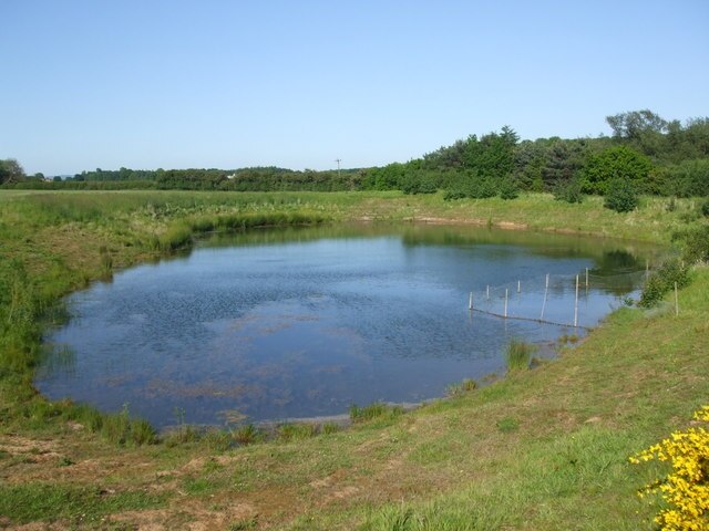 Photo "Ellerton" by Glyn Drury (CC BY-SA) / Cropped from original