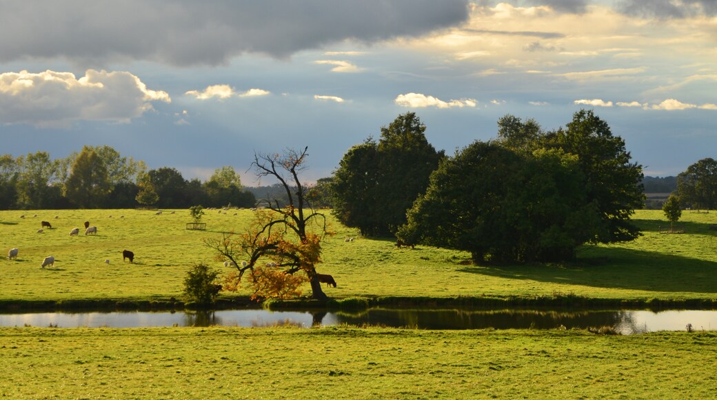 Foto "Middle Claydon" de Adrian Farwell (CC BY) / Recortada de la original