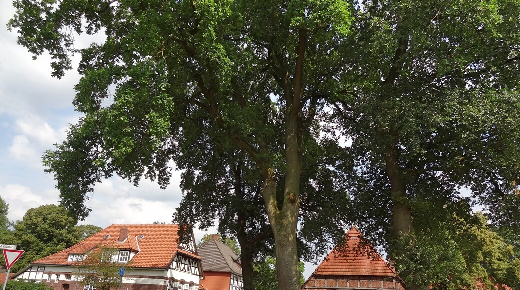 Photo "Husum" by Foto Fitti (CC BY-SA) / Cropped from original