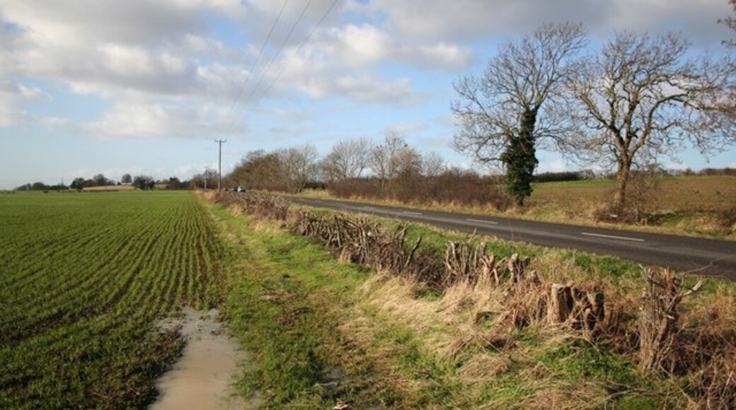 Billede "Cherry Willingham" af Richard Croft (CC BY-SA) / beskåret fra det originale billede