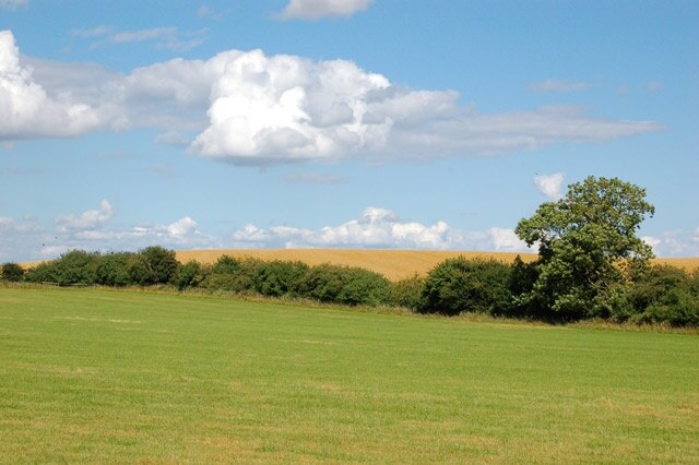 "Catesby"-foto av Andy F (CC BY-SA) / Urklipp från original