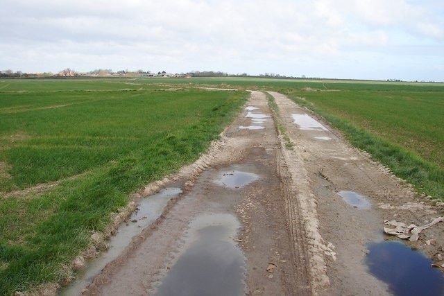 Track to Maltby le Marsh Heading northwards along the farm track.