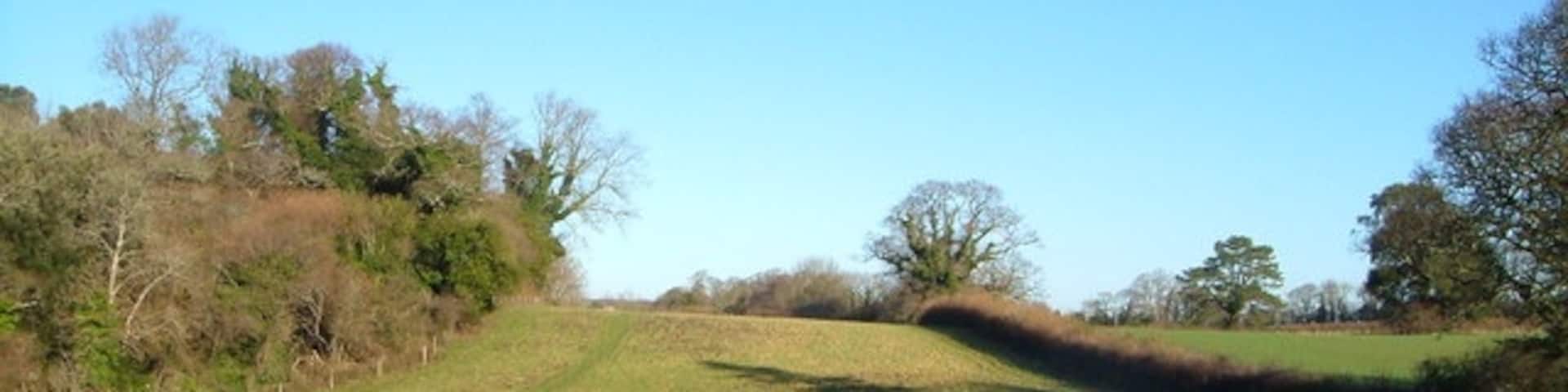 Yealmpton Footpath 17. Looking the opposite way to 295432. The footpath climbs past Rough Torrs on the left. Seen from the lane to Two Crosses.