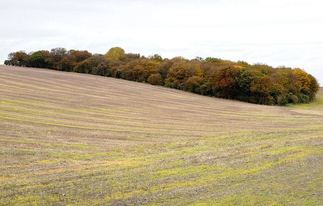 Photo "Langley" by Richard Thomas (CC BY-SA) / Cropped from original