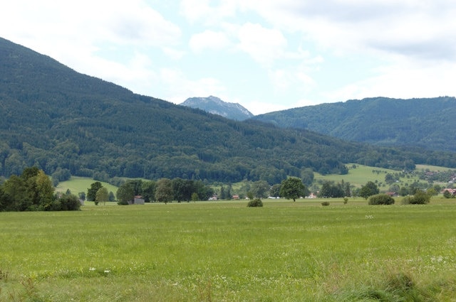 Wiese bei Kleinholzhausen