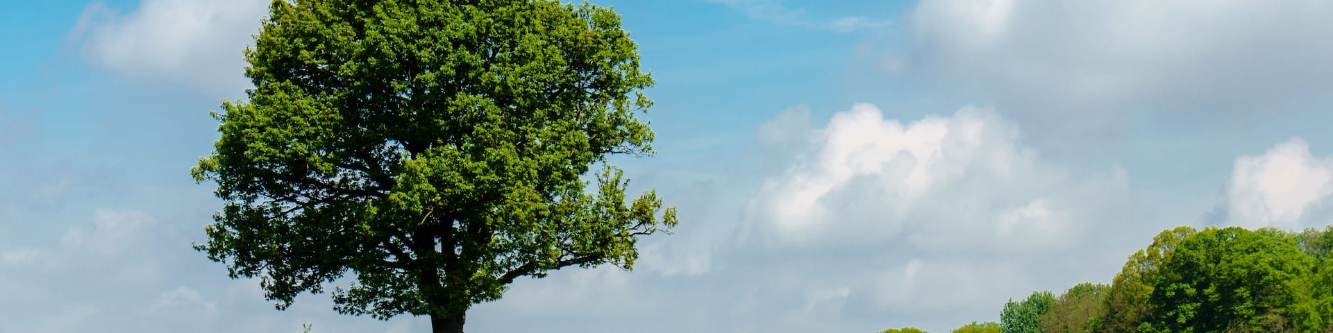 Grimma, Saxônia, Alemanha