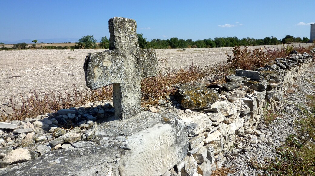 Foto “Sant Ramon” feta per Isidre blanc (CC BY-SA). Retallada de l’original.