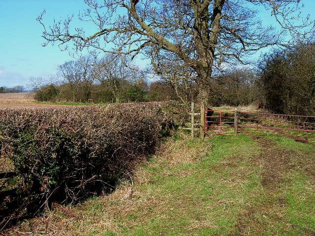 Foto “Ellerton-on-Swale” tomada por Oliver Dixon (CC BY-SA); recorte de la original