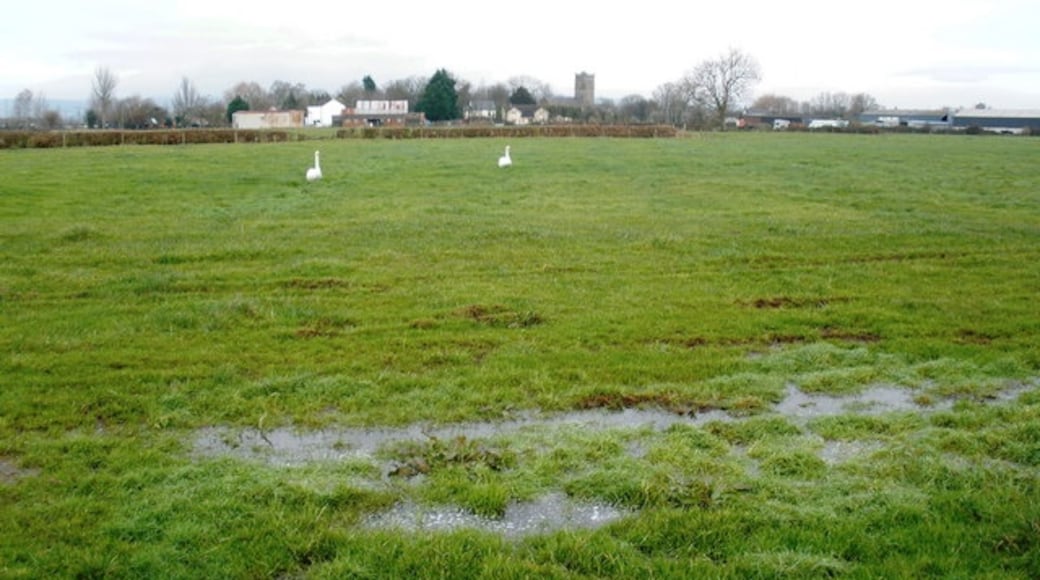 Photo "Redwick" by Roger Cornfoot (CC BY-SA) / Cropped from original