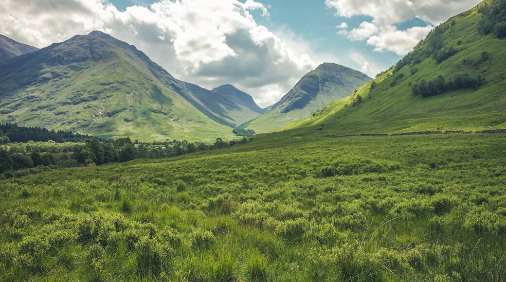 Ardeonaig