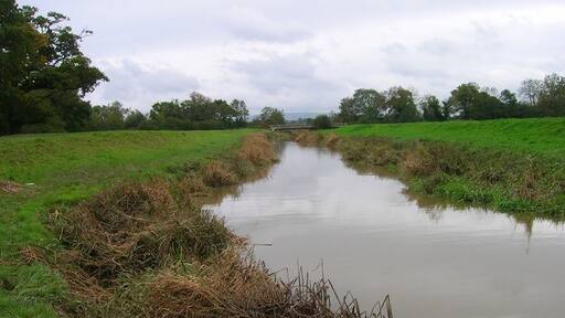 Foto „Ashurst“ von Simon Carey (CC BY-SA)/zugeschnittenes Original