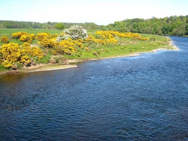 River Dee from Milltimber Bridge Looking downstream.