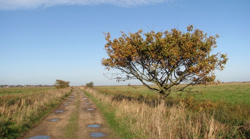 Foto „Thurlton“ von Evelyn Simak (CC BY-SA)/zugeschnittenes Original