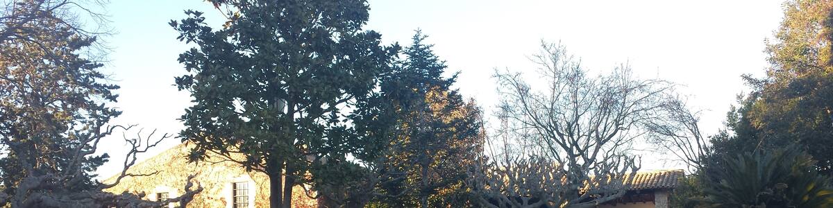 Photo "Mas Pau, Avinyonet de Puigventós (desembre 2013)" by EliziR (Creative Commons Attribution-Share Alike 3.0) / Cropped from original