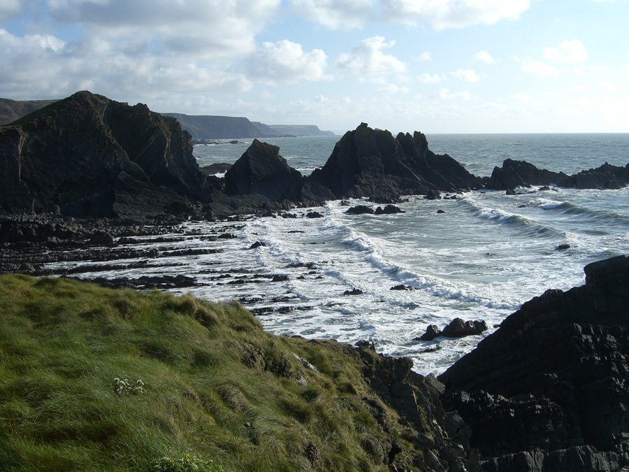 Coast at Hartland Quay
