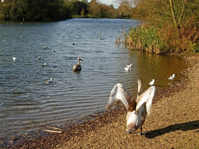 Foto “West Hunsbury” tomada por Stephen McKay (CC BY-SA); recorte de la original