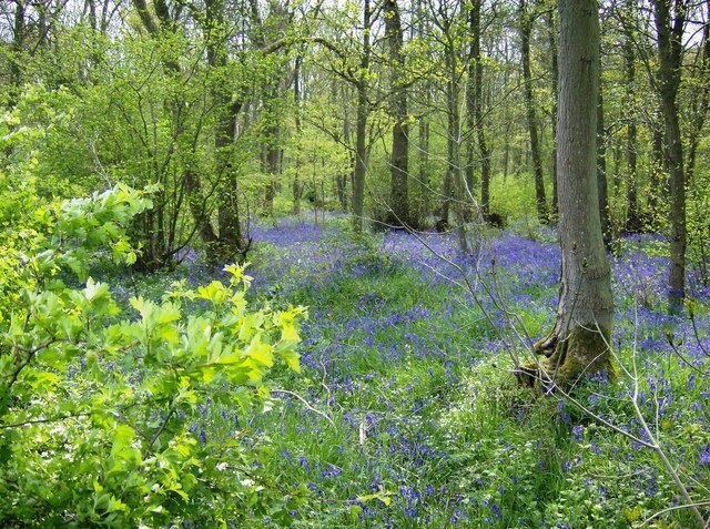 "Adstone"-foto av Graham Horn (CC BY-SA) / Urklipp från original